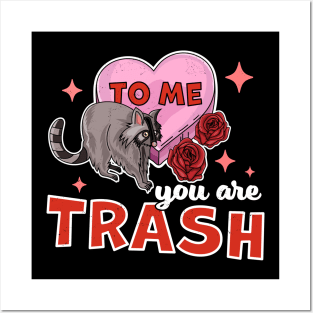 To Me You Are Trash Raccoon - Funny Valentines Day Raccoon Posters and Art